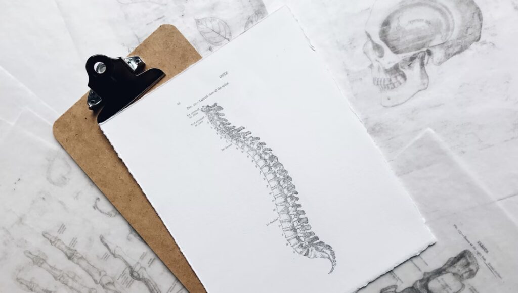 Chiropractor Langley